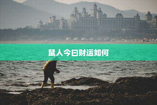 鼠人今曰财运如何