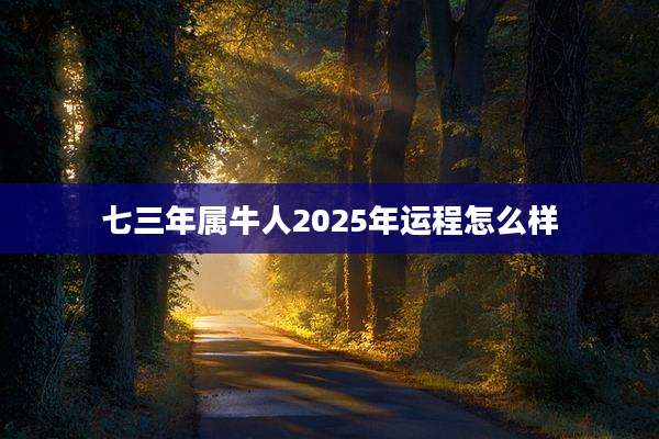 七三年属牛人2025年运程怎么样