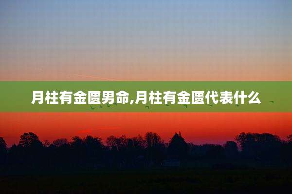 月柱有金匮男命,月柱有金匮代表什么