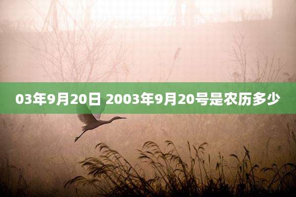 03年9月20日 2003年9月20号是农历多少