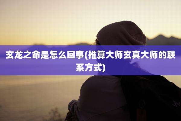 玄龙之命是怎么回事(推算大师玄真大师的联系方式)