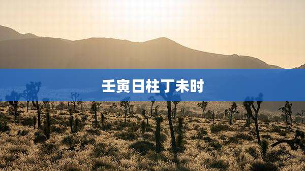 壬寅日柱丁未时