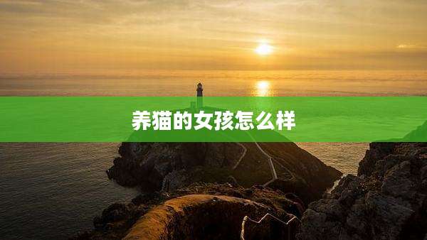 养猫的女孩怎么样