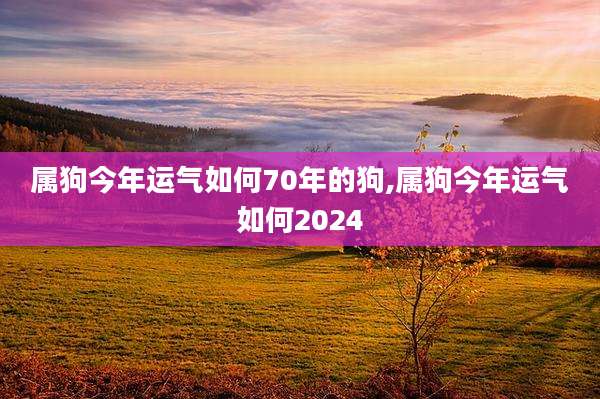 属狗今年运气如何70年的狗,属狗今年运气如何2024