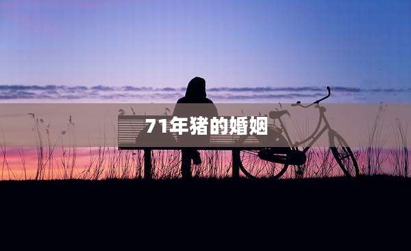 71年猪的婚姻