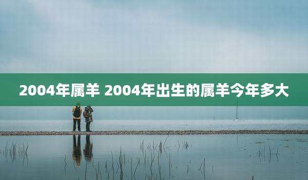2004年属羊 2004年出生的属羊今年多大