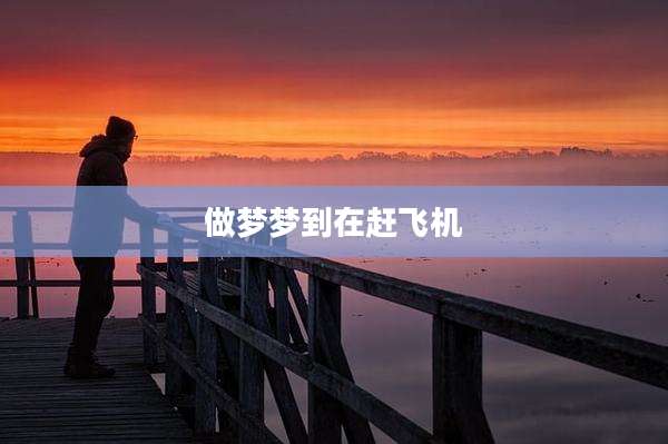 做梦梦到在赶飞机