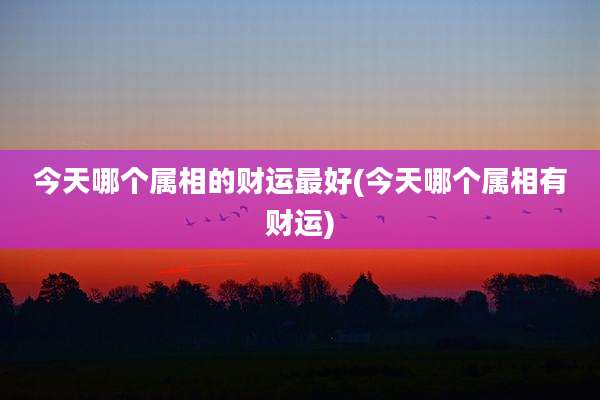 今天哪个属相的财运最好(今天哪个属相有财运)
