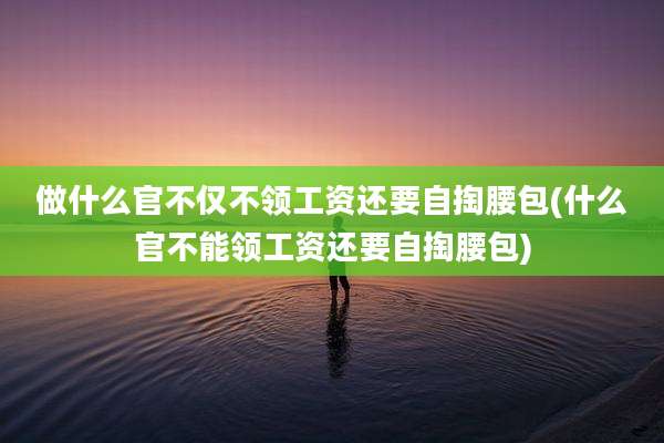 做什么官不仅不领工资还要自掏腰包(什么官不能领工资还要自掏腰包)