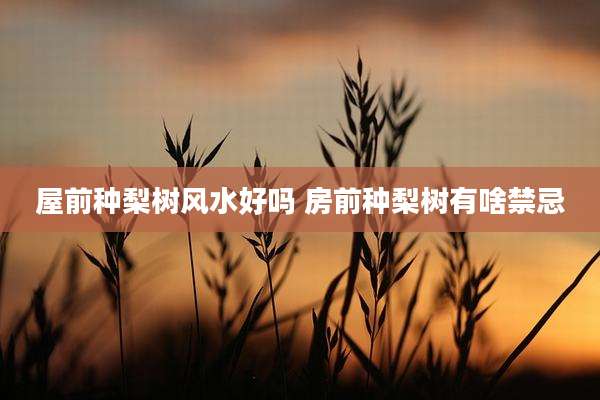 屋前种梨树风水好吗 房前种梨树有啥禁忌