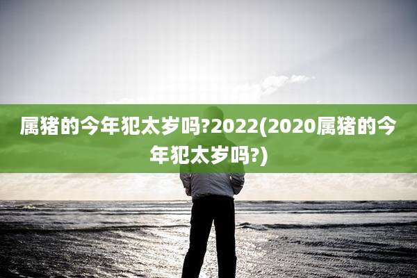 属猪的今年犯太岁吗?2022(2020属猪的今年犯太岁吗?)
