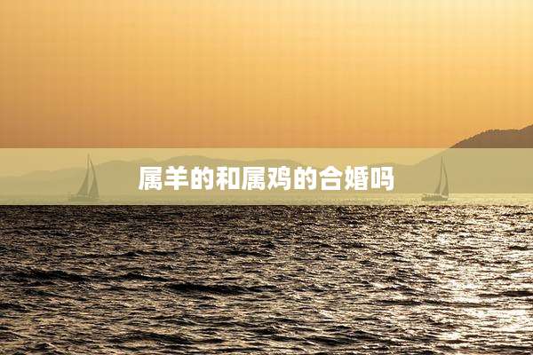 属羊的和属鸡的合婚吗