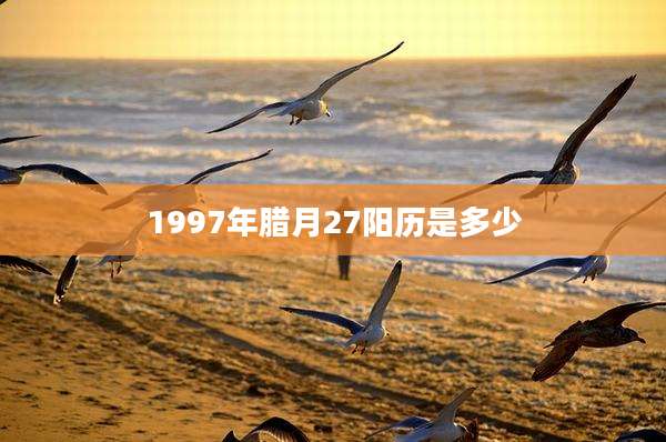 1997年腊月27阳历是多少
