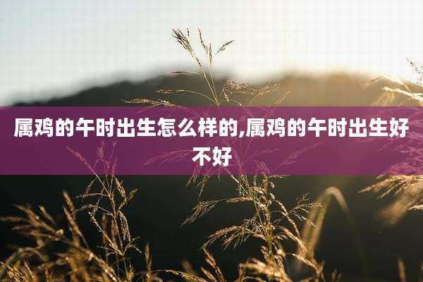 属鸡的午时出生怎么样的,属鸡的午时出生好不好