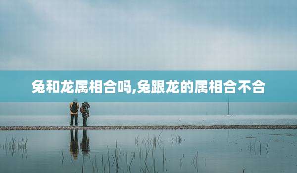 兔和龙属相合吗,兔跟龙的属相合不合
