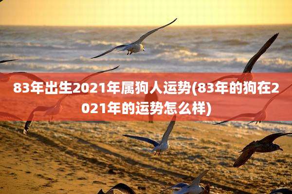 83年出生2021年属狗人运势(83年的狗在2021年的运势怎么样)