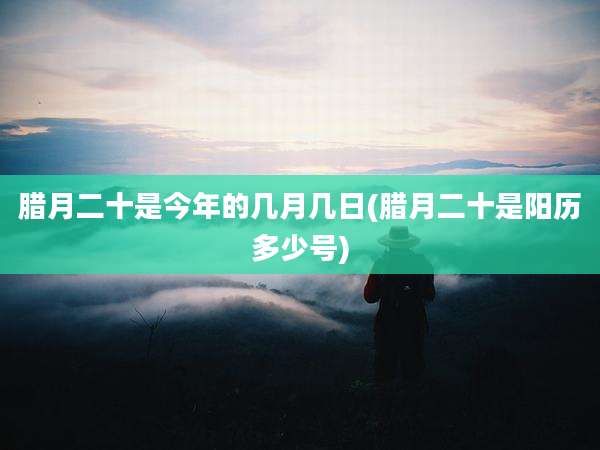 腊月二十是今年的几月几日(腊月二十是阳历多少号)