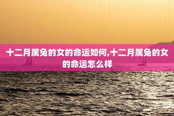 十二月属兔的女的命运如何,十二月属兔的女的命运怎么样