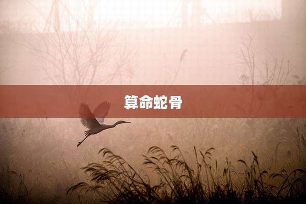算命蛇骨