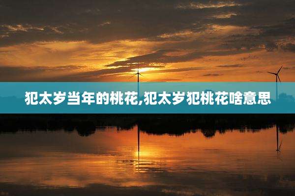 犯太岁当年的桃花,犯太岁犯桃花啥意思