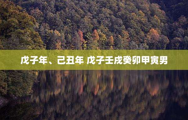 戊子年、己丑年 戊子壬戌癸卯甲寅男