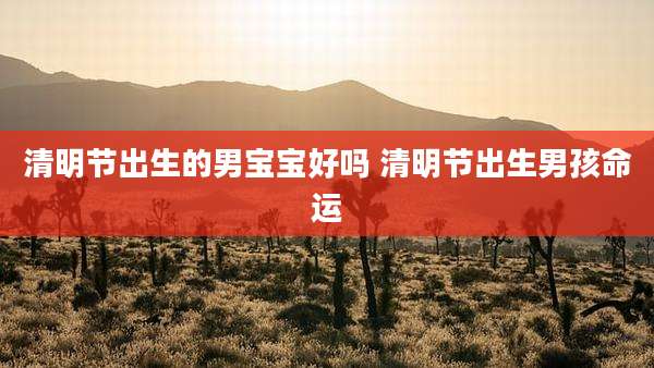 清明节出生的男宝宝好吗 清明节出生男孩命运