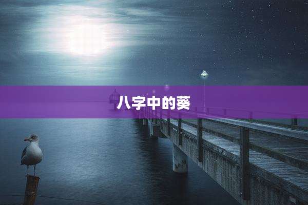 八字中的葵