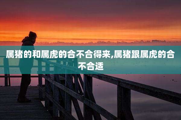 属猪的和属虎的合不合得来,属猪跟属虎的合不合适