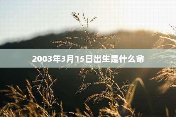 2003年3月15日出生是什么命