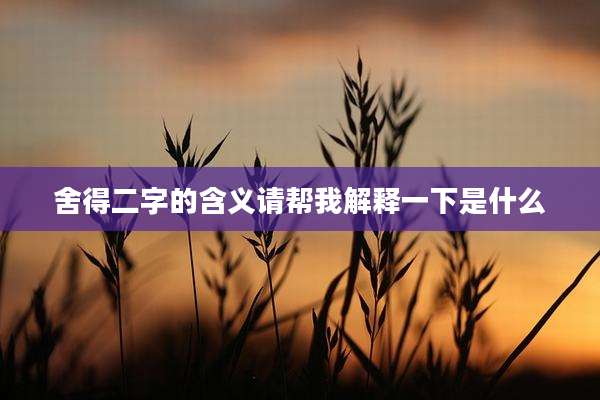 舍得二字的含义请帮我解释一下是什么