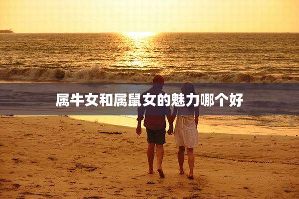 属牛女和属鼠女的魅力哪个好