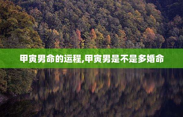 甲寅男命的运程,甲寅男是不是多婚命