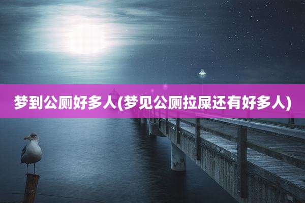 梦到公厕好多人(梦见公厕拉屎还有好多人)