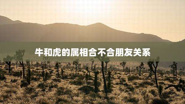 牛和虎的属相合不合朋友关系