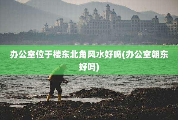 办公室位于楼东北角风水好吗(办公室朝东好吗)