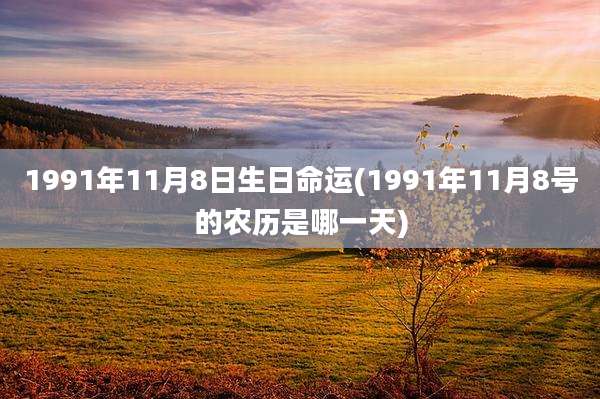 1991年11月8日生日命运(1991年11月8号的农历是哪一天)