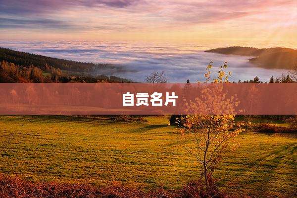 自贡名片