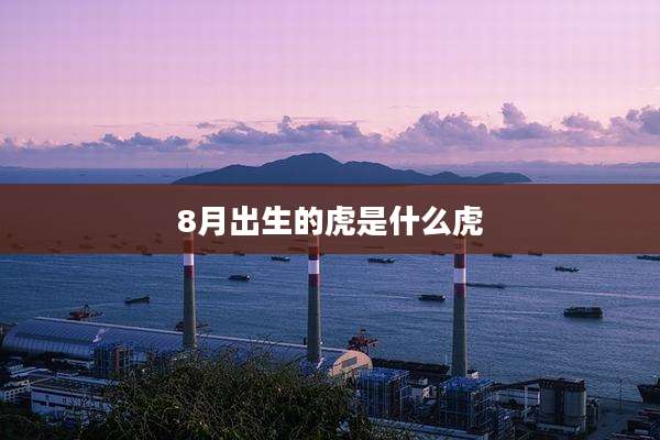 8月出生的虎是什么虎