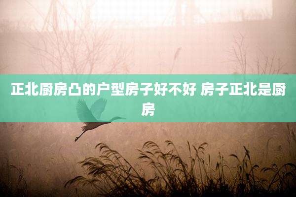 正北厨房凸的户型房子好不好 房子正北是厨房