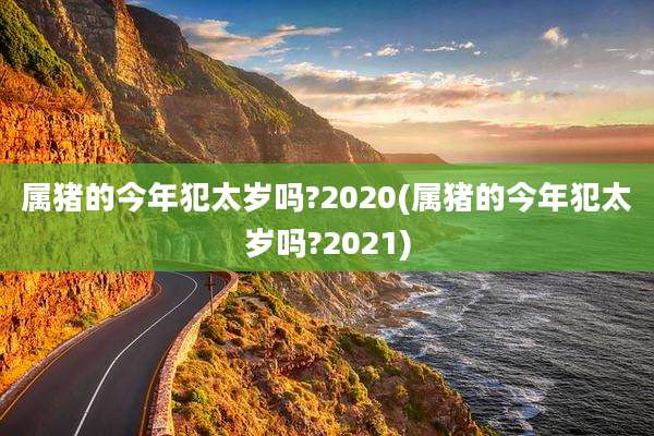 属猪的今年犯太岁吗?2020(属猪的今年犯太岁吗?2021)