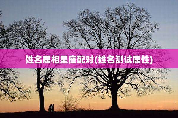 姓名属相星座配对(姓名测试属性)