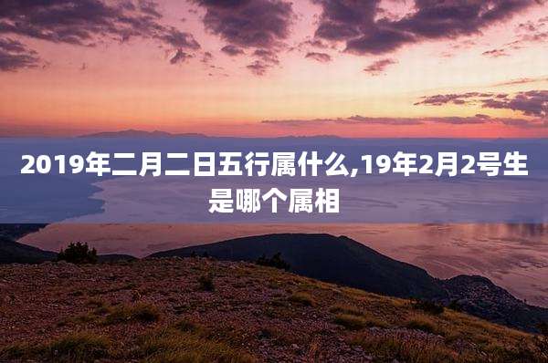 2019年二月二日五行属什么,19年2月2号生是哪个属相