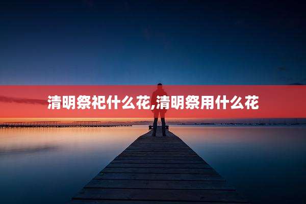 清明祭祀什么花,清明祭用什么花