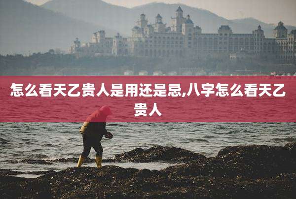 怎么看天乙贵人是用还是忌,八字怎么看天乙贵人