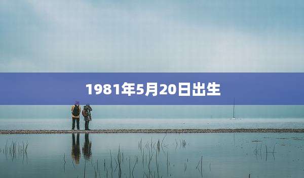 1981年5月20日出生