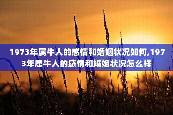 1973年属牛人的感情和婚姻状况如何,1973年属牛人的感情和婚姻状况怎么样