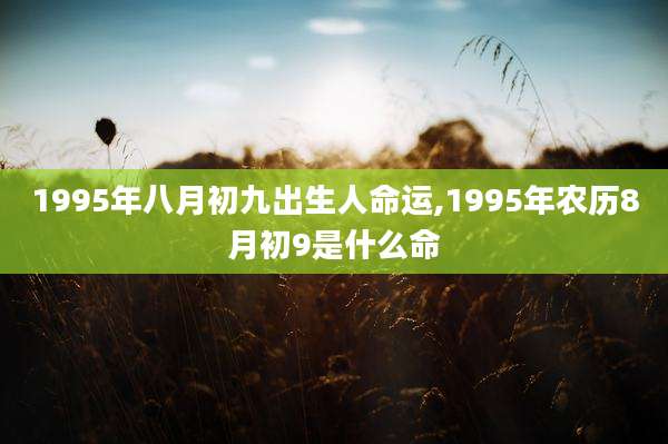 1995年八月初九出生人命运,1995年农历8月初9是什么命