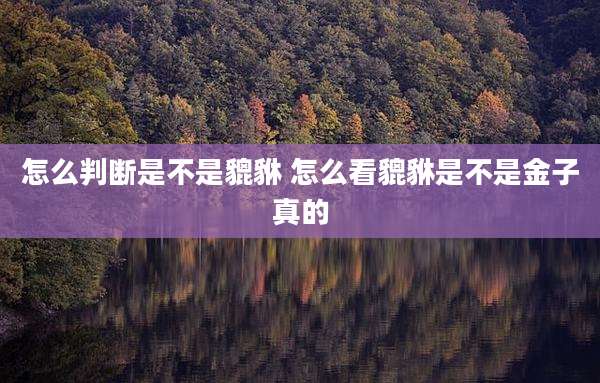 怎么判断是不是貔貅 怎么看貔貅是不是金子真的