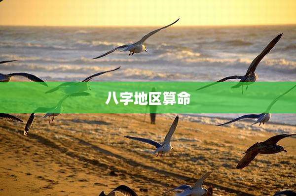 八字地区算命