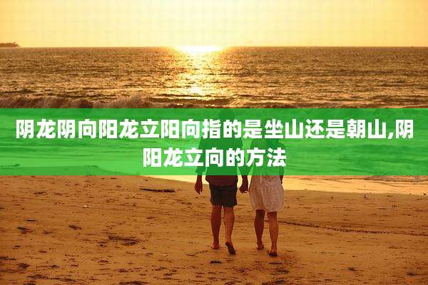 阴龙阴向阳龙立阳向指的是坐山还是朝山,阴阳龙立向的方法